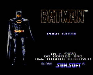 Batman: The Video Game