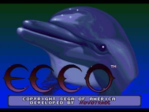 Ecco the Dolphin